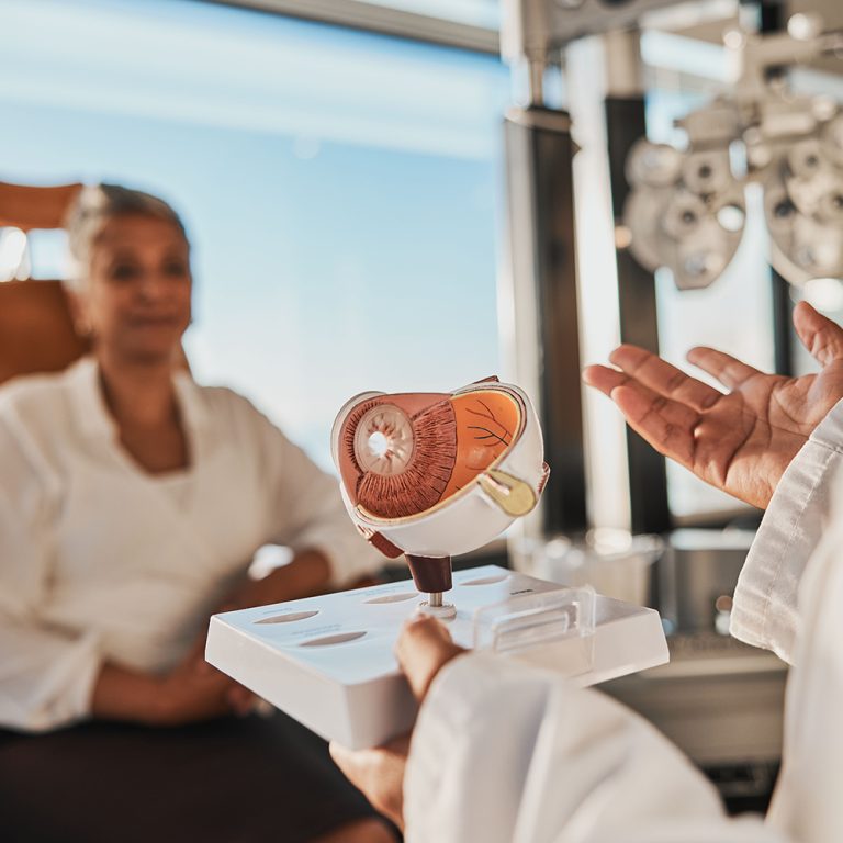 Eye anatomy model, doctor consultation and eyes exam for senior health in a clinic. Optometrist, el.